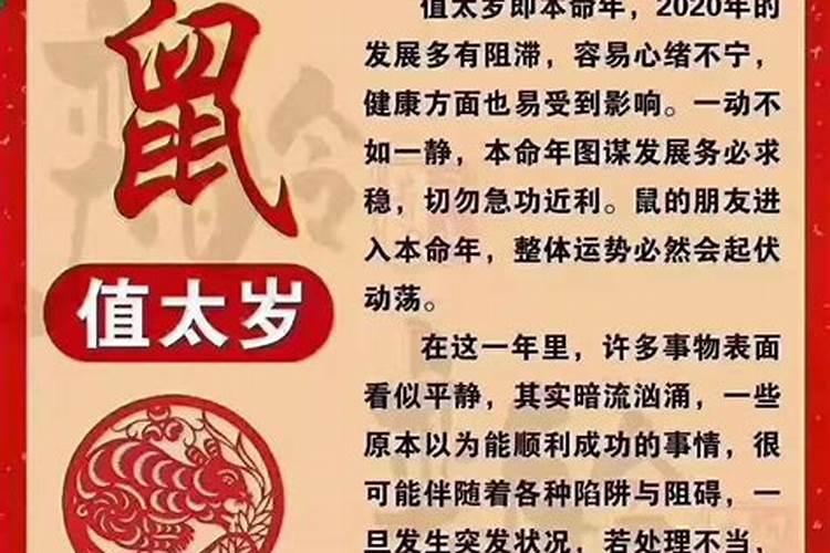 梦见一个大鱼但是没想去捉