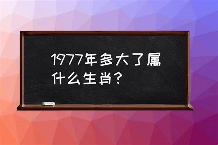 1977属啥生肖