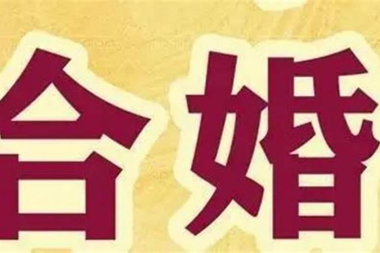 腊月出生的牛宝宝命运怎么样