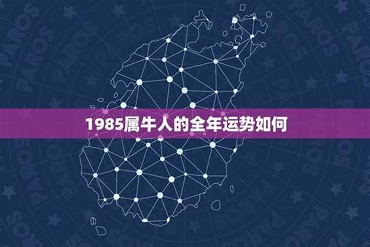 1985属牛人的全年运势如何