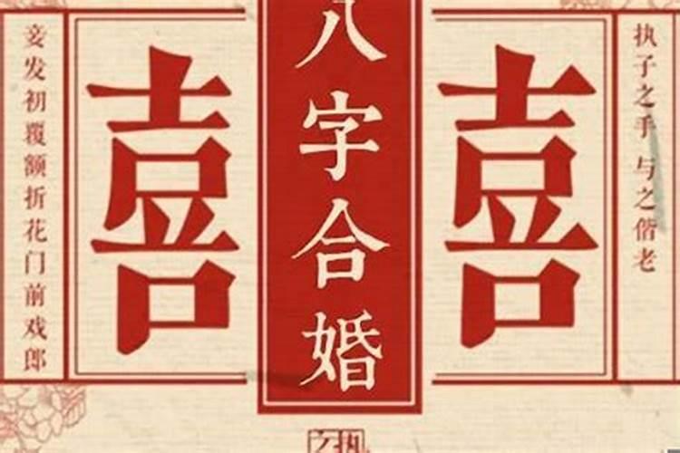 冬至祭拜能带菊花吗为什么