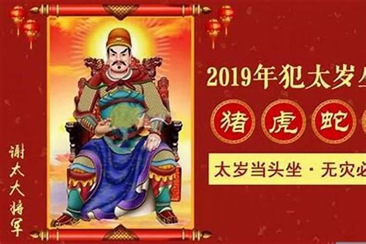 今年属羊的运气怎样