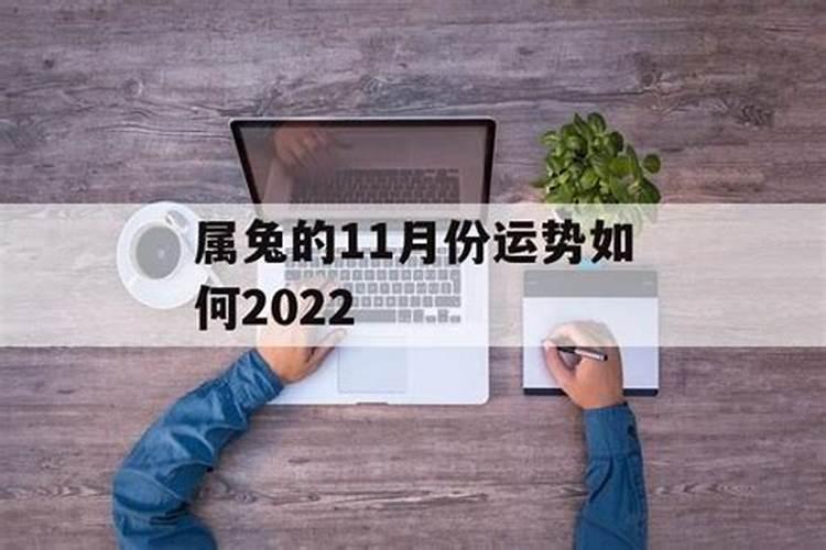 属狗女2023年下半年感情运势如何