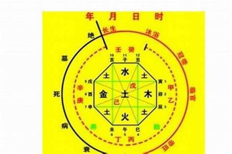 算八字动婚姻什么意思