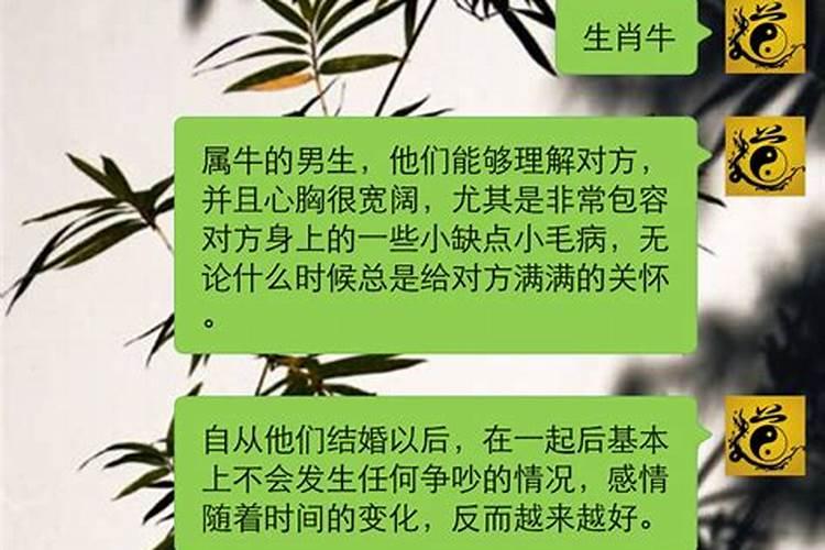 一见钟情是代表什么生肖