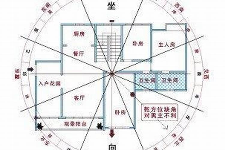 正月初五属猪鸡运势怎么样