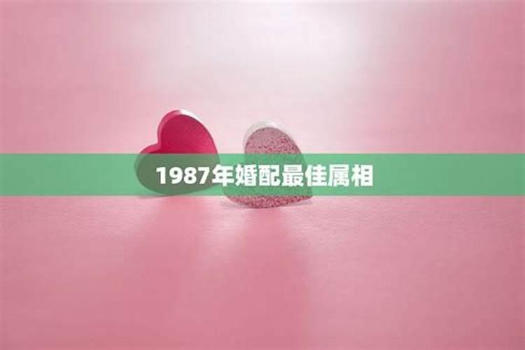 76年冬月十六出生2023年运势