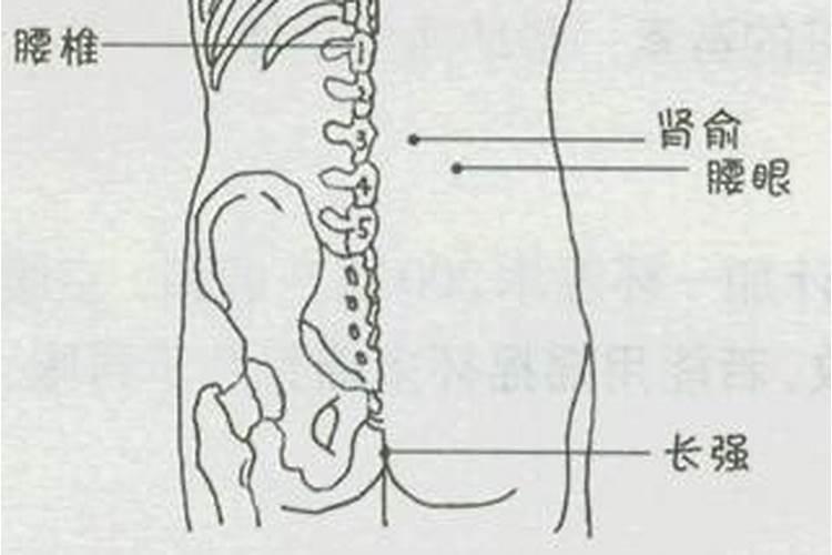 有腰眼的人代表什么