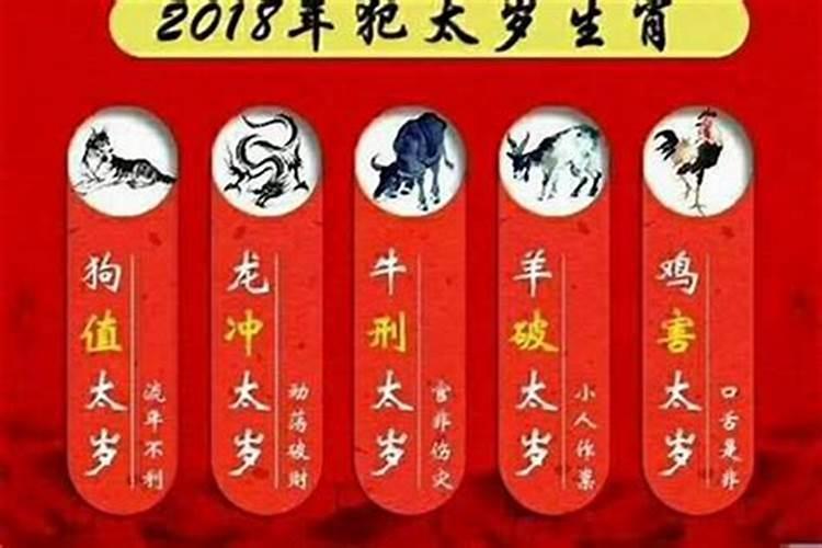 属猪的2023年犯太岁怎么化解