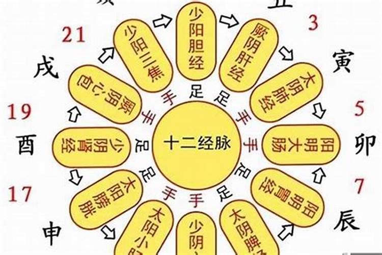 2023生肖下半年运势运势运程