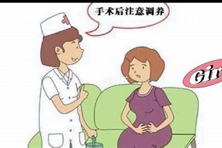 冬至出生属马女生的命运