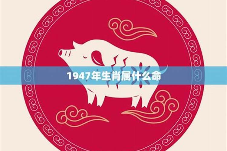 47年属什么生肖属相