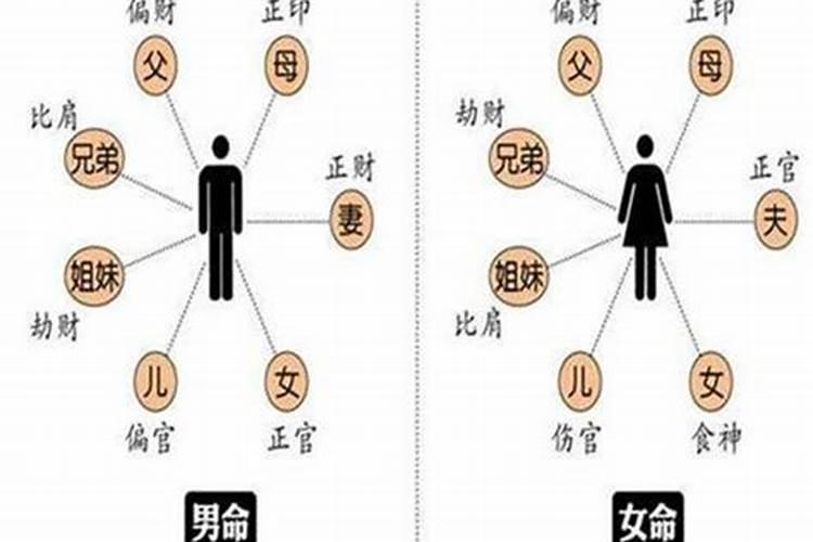 今年鸡的运势怎么样2021