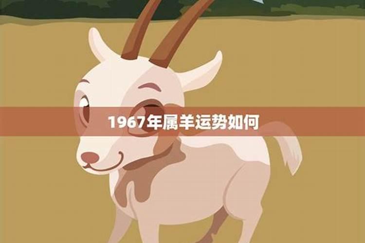 1967年属羊一生运程如何