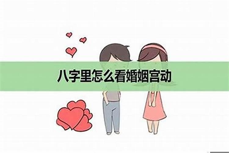 梦见龟是什么意思周公解梦