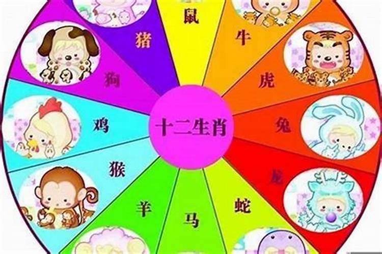 今年是29岁属什么生肖