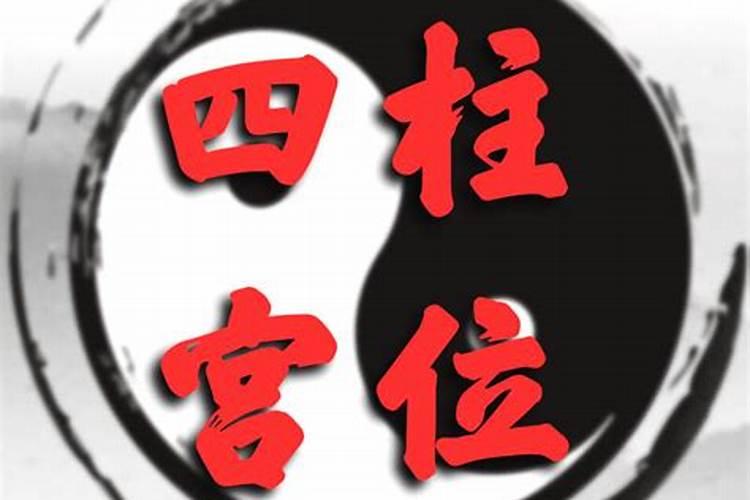 八字排盘怎么看宫位