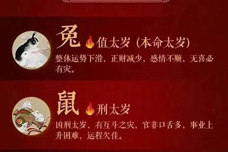 属龙今年如何化太岁