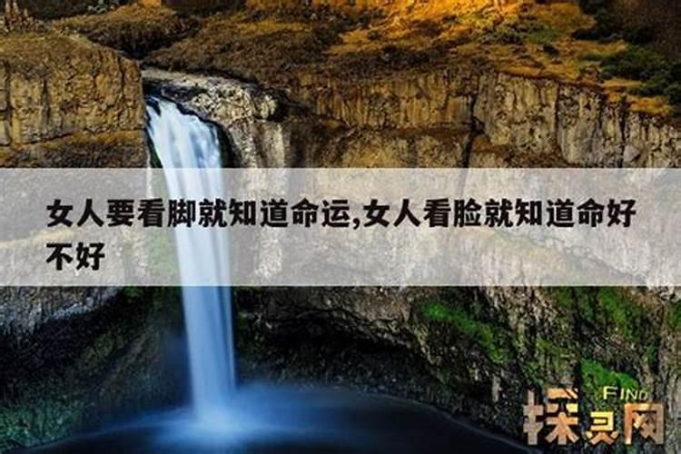 梦见别人送菜给我是什么意思