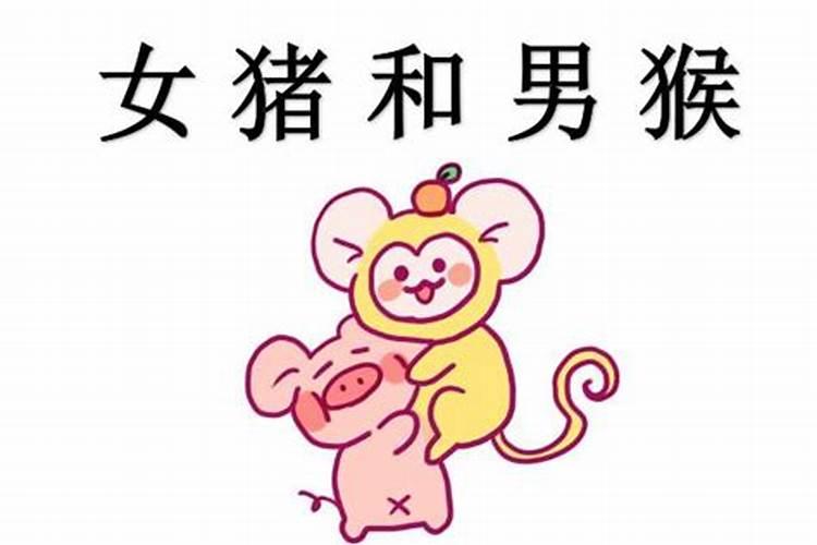 八字中没有正官的女人