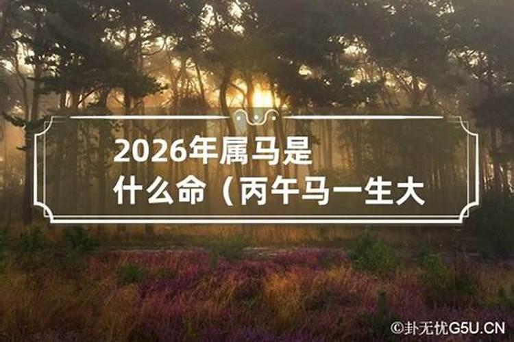 2026年属马好吗