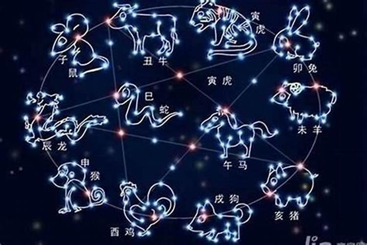 羊的星座是什么星座