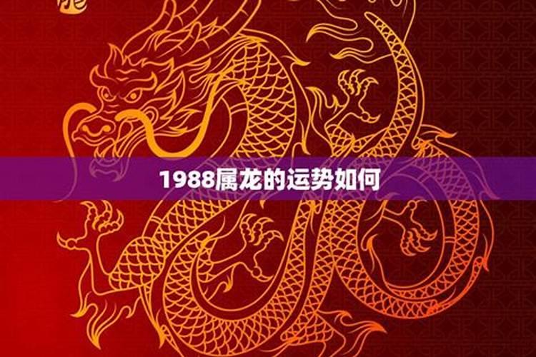 1988年属龙7月运势怎么样