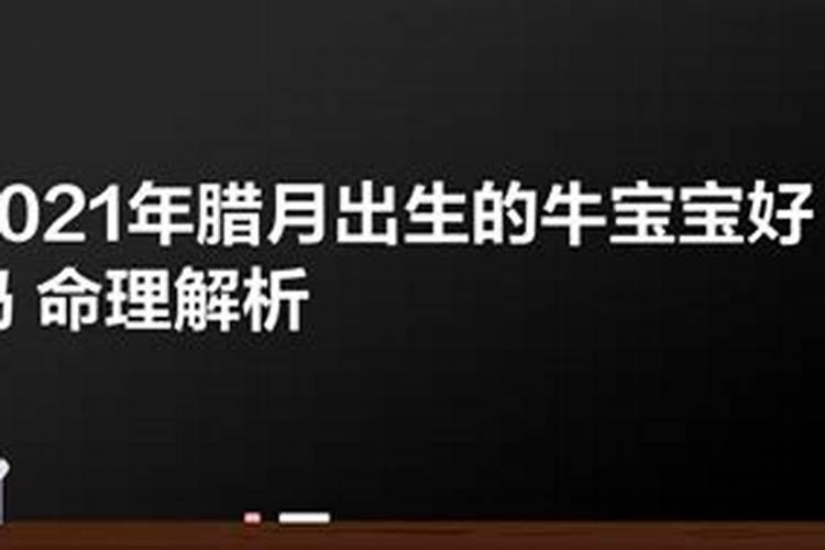 金牛宝宝腊月午时出生