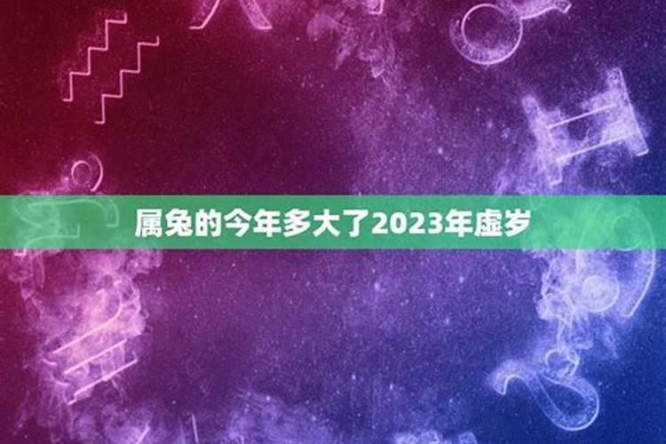 1998年有人属兔是不真的