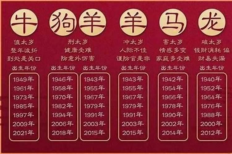 属马今年感情运势怎么样