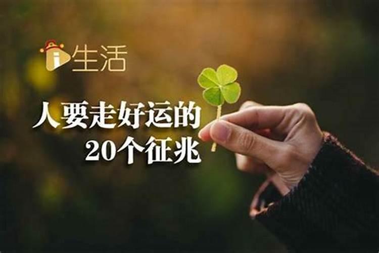 属鼠人在2023年月份的运程如何