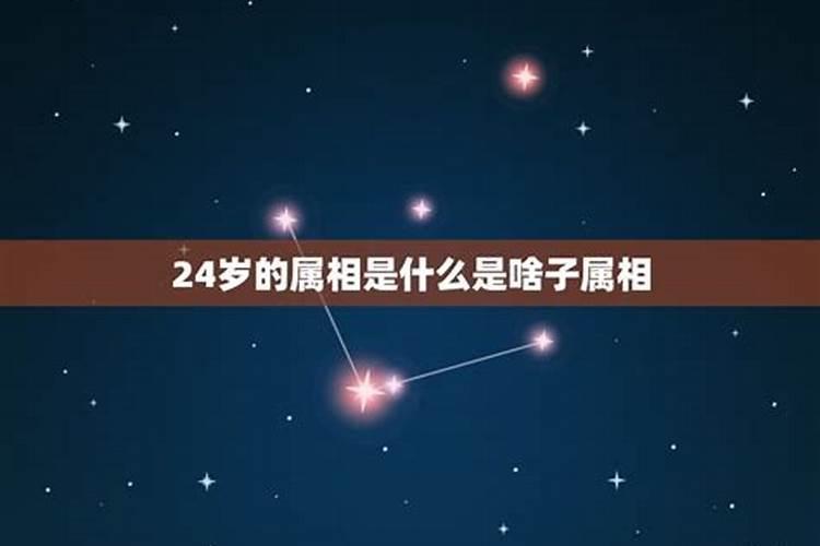 24属鼠和属鼠的合婚吗