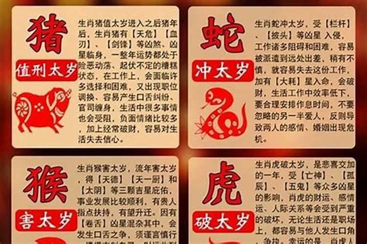 属兔的今年犯太岁吗?2020年