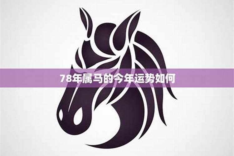 属马人今年l7岁运势