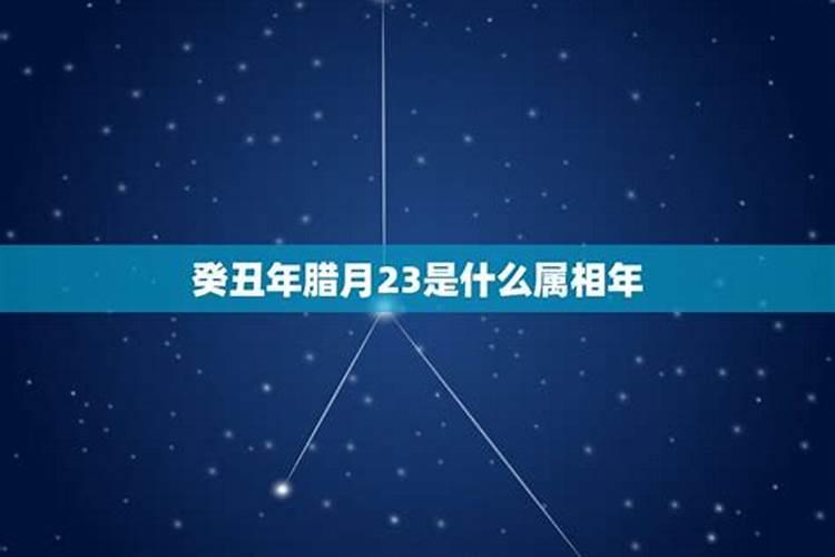 2007年腊月23是什么星座