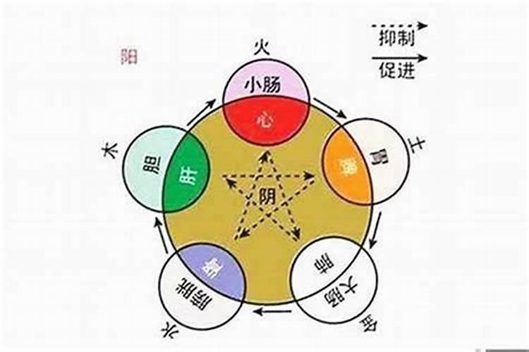 五行八字木是婚姻吗