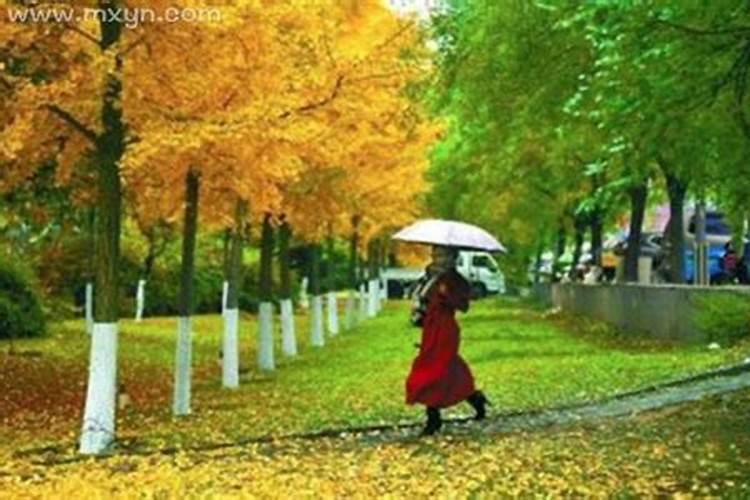 周公解梦女人梦见下大雨是什么意思