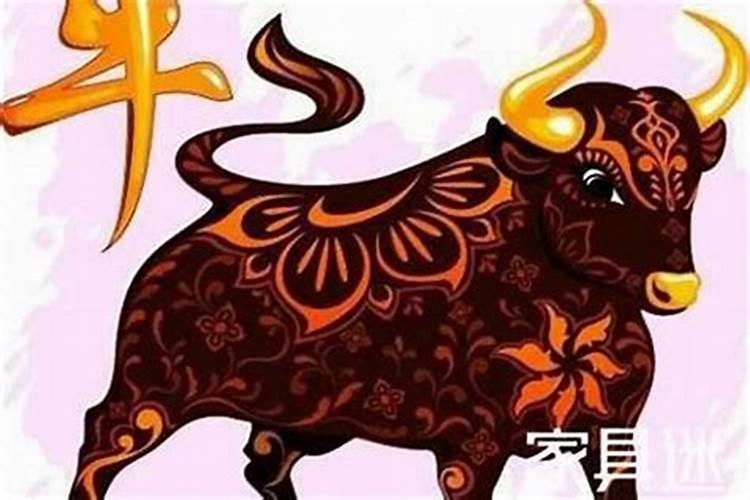 属牛女今年运势查询