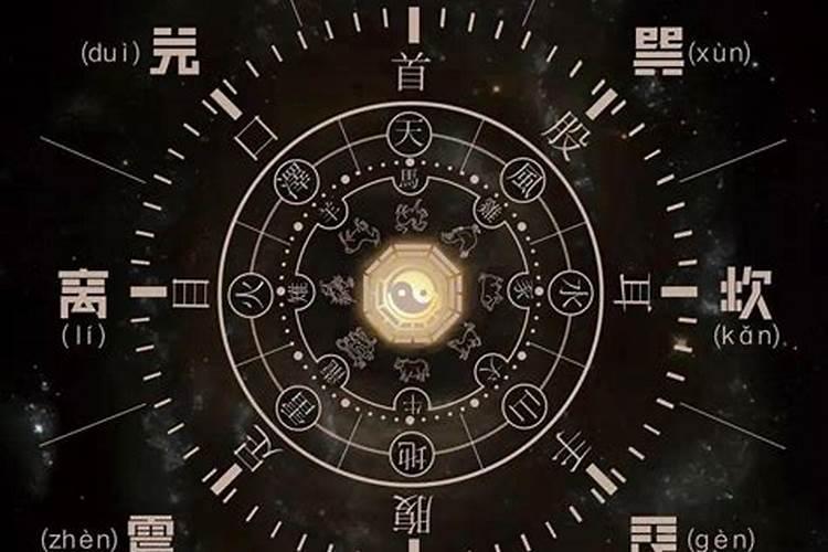 生肖兔的克星是什么