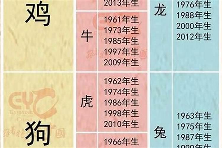 99年的人今年运势