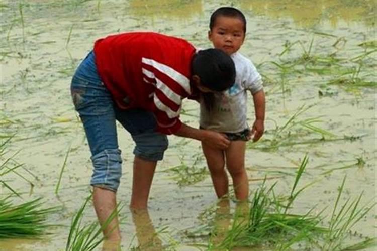 生男三更子是什么意思呢