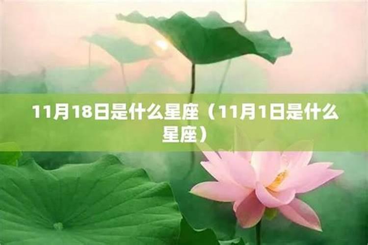 11月118日是什么星座