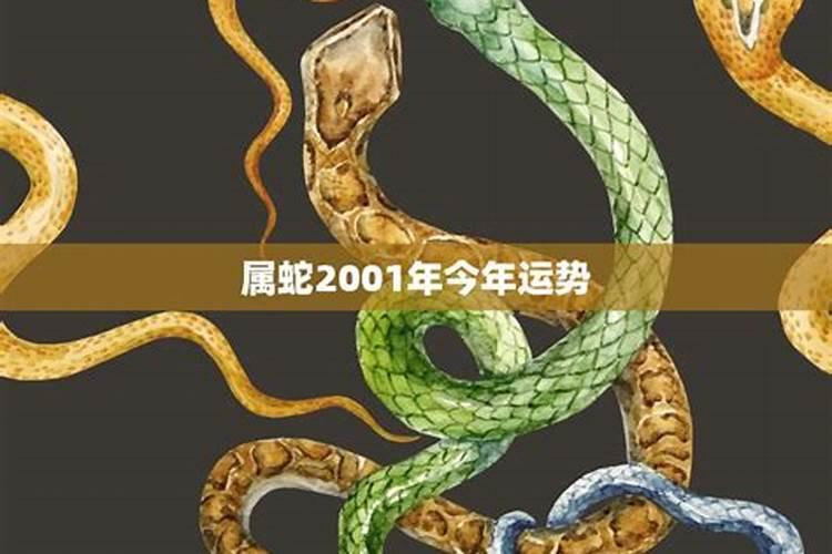 2021年属牛岁数