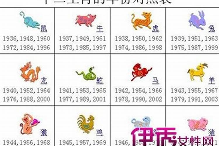 今年24岁属什么生肖的