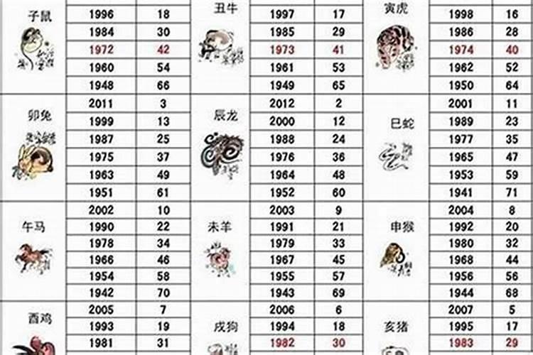 49岁属什么的