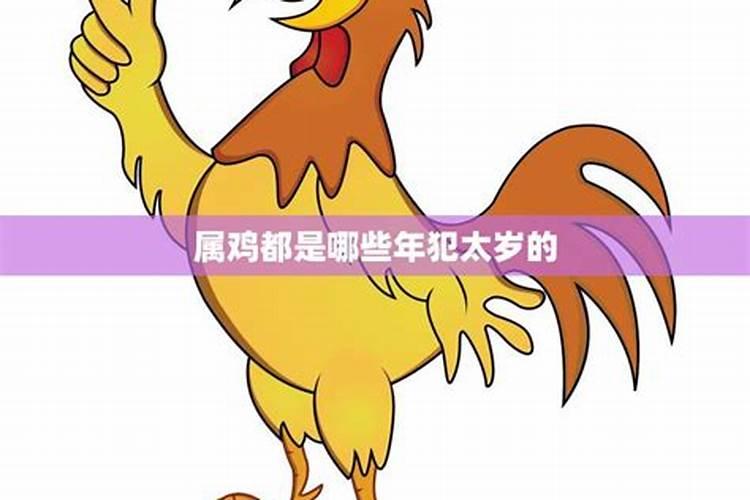 属鸡今年犯太岁怎么解