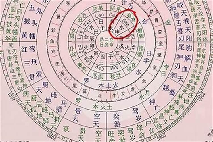 梦见孔雀是什么兆头