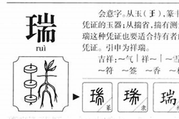 瑞字属什么五行属什么