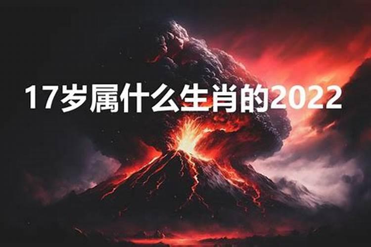 17岁属什么生肖的20232月