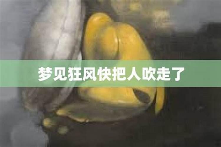 梦见起风把自己吹起来了